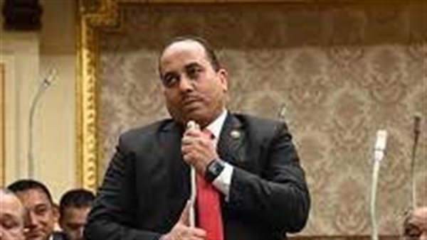 استمرار الإشراف القضائي وشموله الانتخابات الرئاسية ضمانة للنزاهة وصون أصوات المصريين 1 3191695984603