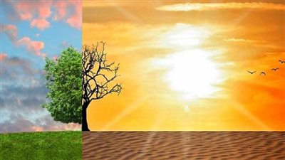 المفتي: التغير المناخي أزمة القرن الحادي والعشرين والتحدي الأعظم الذي تواجهه البشرية حاليا ولعقود قادمة 1 5141695042968