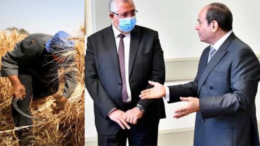 وزير الزراعة:استهداف التوسُّع تدريجيًا في مساحات محصول القمح في ظل توجه الدولة لتطبيق مفهوم"الزراعة التعاقدية" 1 7 21695208084