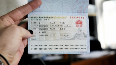 Chinese visa issued 2006 768x5121695227763