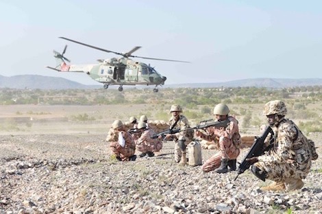 سلطنة عمان وإيطاليا تنفذان التمرين العسكري (جبل شمس3) 1 Oman armee 3195898451694947324