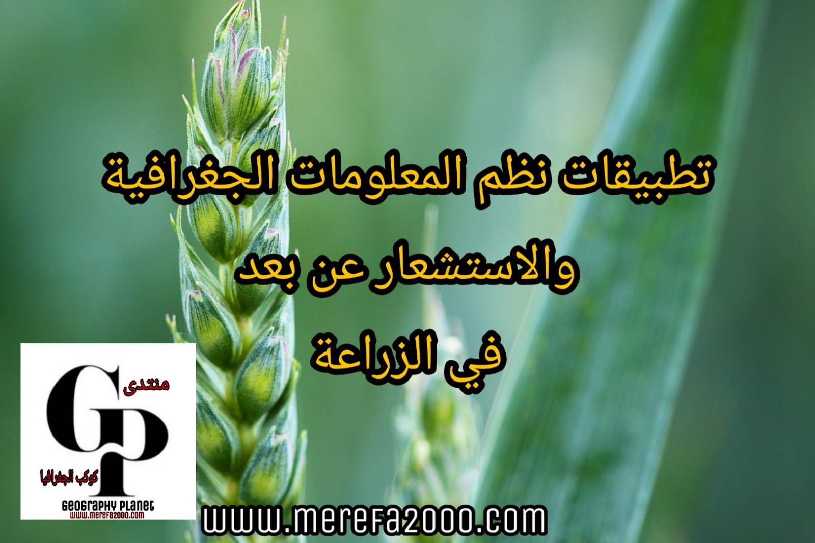 "الزراعة" و"الاستشعار من البعد" توقعان بروتوكول لحصر وتصنيف المساحات المنزرعة باستخدام الذكاء الاصطناعي 1 PicsArt 01 21 041695794462
