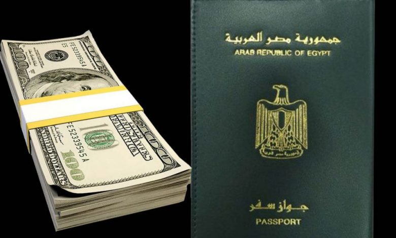 مجلس الوزراء يوافق على قرار بشأن تنظيم حالات منح الجنسية المصرية للأجانب وتنظيم تشكيل وحدة فحص طلبات التجنس 1 d0992c0537 1024x5761694688184