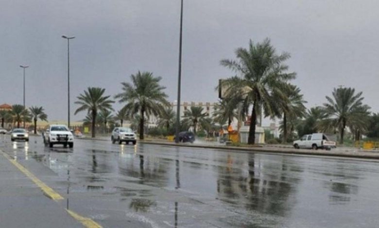 صحيفة عمانية: دول مجلس التعاون الخليجي قادرة على إحداث تغيرات جذرية في كل التحديات 1 fdd1d3e01e1693897383