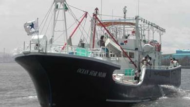 turch light net fishing boat series 021695981483