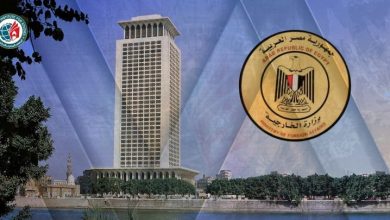 الدبلوماسية المصرية الوضع الراهن وآفاق التغيير 780x4051695374103