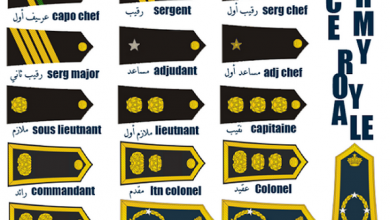 الرتب و الرواتب الشهرية للجيش المغربي القوات المسلحة الملكية المغربية1694261885