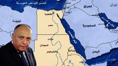 سياسة مصر الخارجية وأمنها القومي min 780x4051695011703