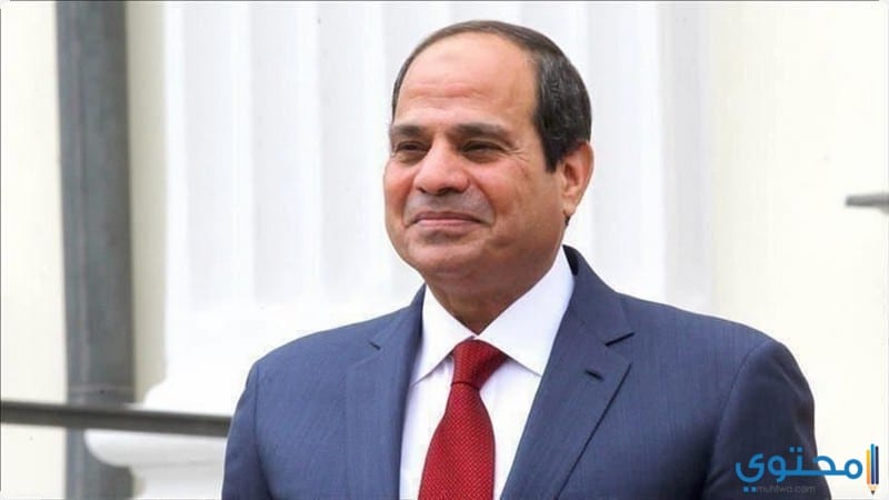 رئيس "الأعلى للجامعات": الرئيس السيسي يولي أهمية كبيرة لدعم التعليم العالي والبحث العلمي 1 عبد الفتاح السيسي5 21695721142
