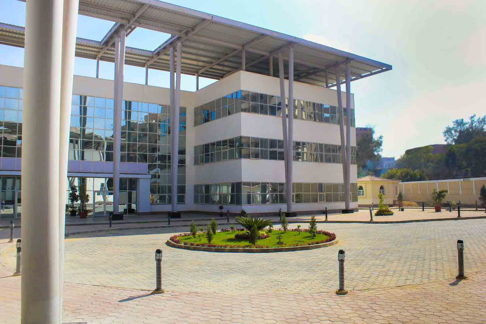 الجامعة المصرية الصينية تقبل طلاب الثانوية العامة بكلية الطب البيطري بـ 68% والفنون 53% 1 مصاريف الجامعة المصرية الصينية 20221694950503