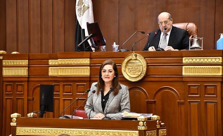 وزيرة التخطيط: نستهدف توفير 800 ألف فُرصة عمل جديدة في خطة العام المالي الحالي 1 111 11698669428