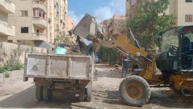 118609 محافظة الجيزة ترفع تراكمات القمامة من حدائق الاهرام1696691162
