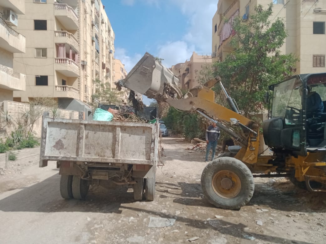 118609 محافظة الجيزة ترفع تراكمات القمامة من حدائق الاهرام1696691162