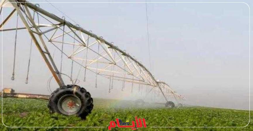 الكهرباء: 124 مليون جنيه لتدعيم التغذية الكهربية لمشروع الدلتا الجديدة 1 11997 W1696761483