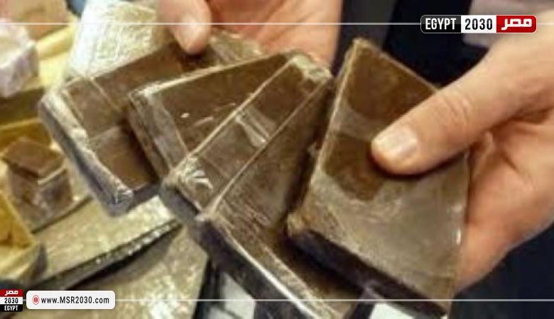 ضبط 11 عنصرا إجراميا لقيامهم بالاتجار بالمواد المخدرة بمطروح والقاهرة 1 135934 W1696926423