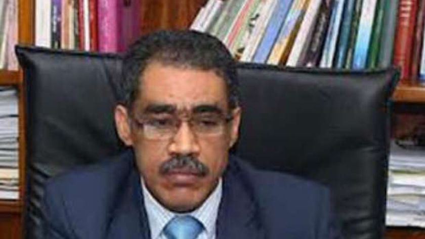 ضياء رشوان: مصر لم تتخل عن القضية الفلسطينية وحذرت من تدهور الأوضاع نتيجة العنف الإسرائيلي 1 144796131615048261211698152823
