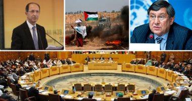 قطر والعراق يؤكدان ضرورة تنسيق الجهود العربية والدولية لوقف العدوان الإسرائيلي على غزة 1 201807260409329321698575463