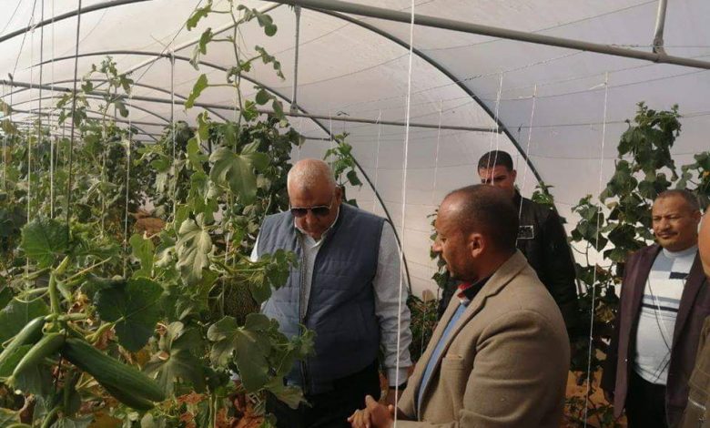 99047 محافظ الوادي الجديد يوجه بتعميم مشروع الصوب الزراعية (1)1697722804