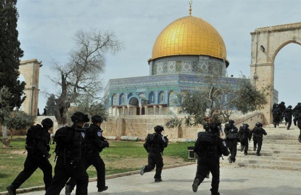 "التعاون الإسلامي" والاتحاد الأوروبي يبحثان القضية الفلسطينية والاعتداءات الإسرائيلية على غزة 1 99986261641698334803