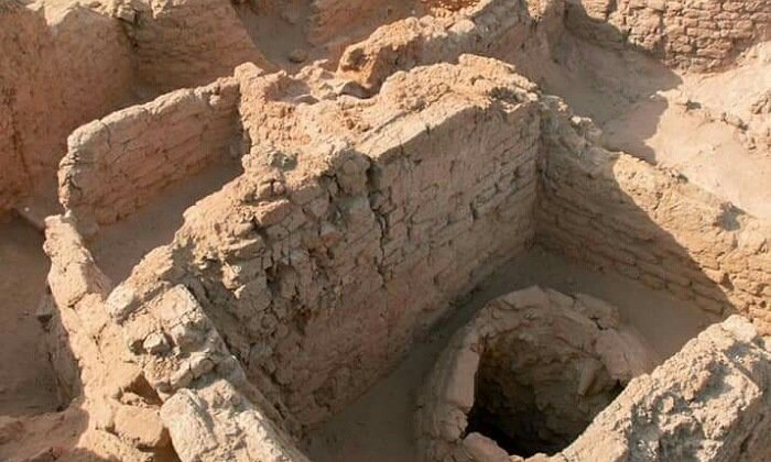 البعثة الأثرية المصرية الألمانية النمساوية تكشف عن "جرار نبيذ مغلقة" وأثاث جنائزي بأبيدوس بسوهاج 1 elaosboa385141696152783