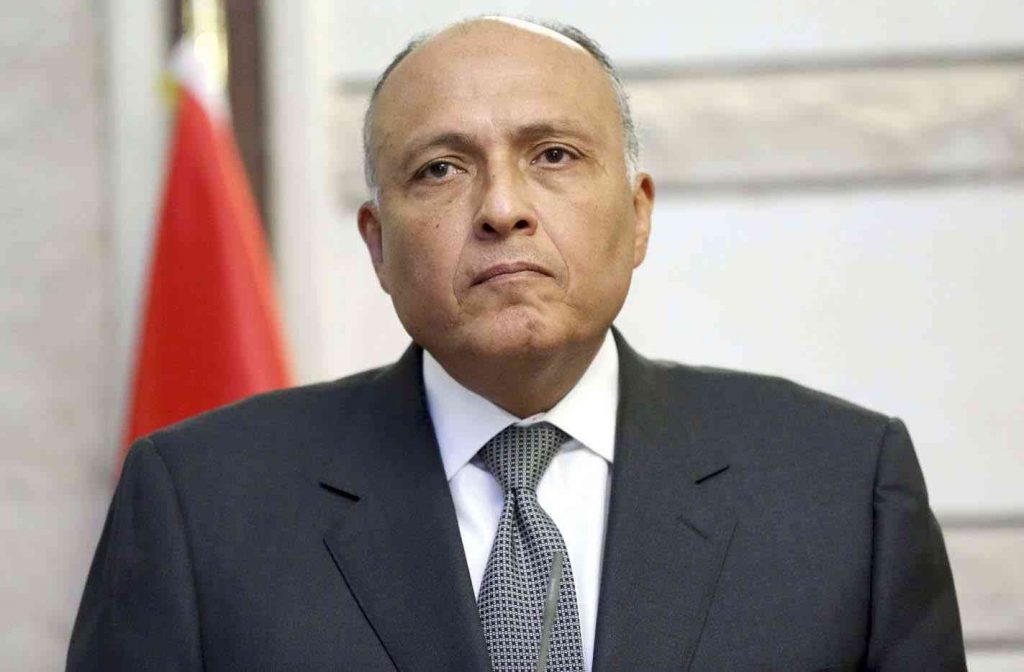 شكري يتلقى اتصالاً من وزير خارجية إيران ويبحثان التصعيد الإسرائيلي - الفلسطيني 1 image 4
