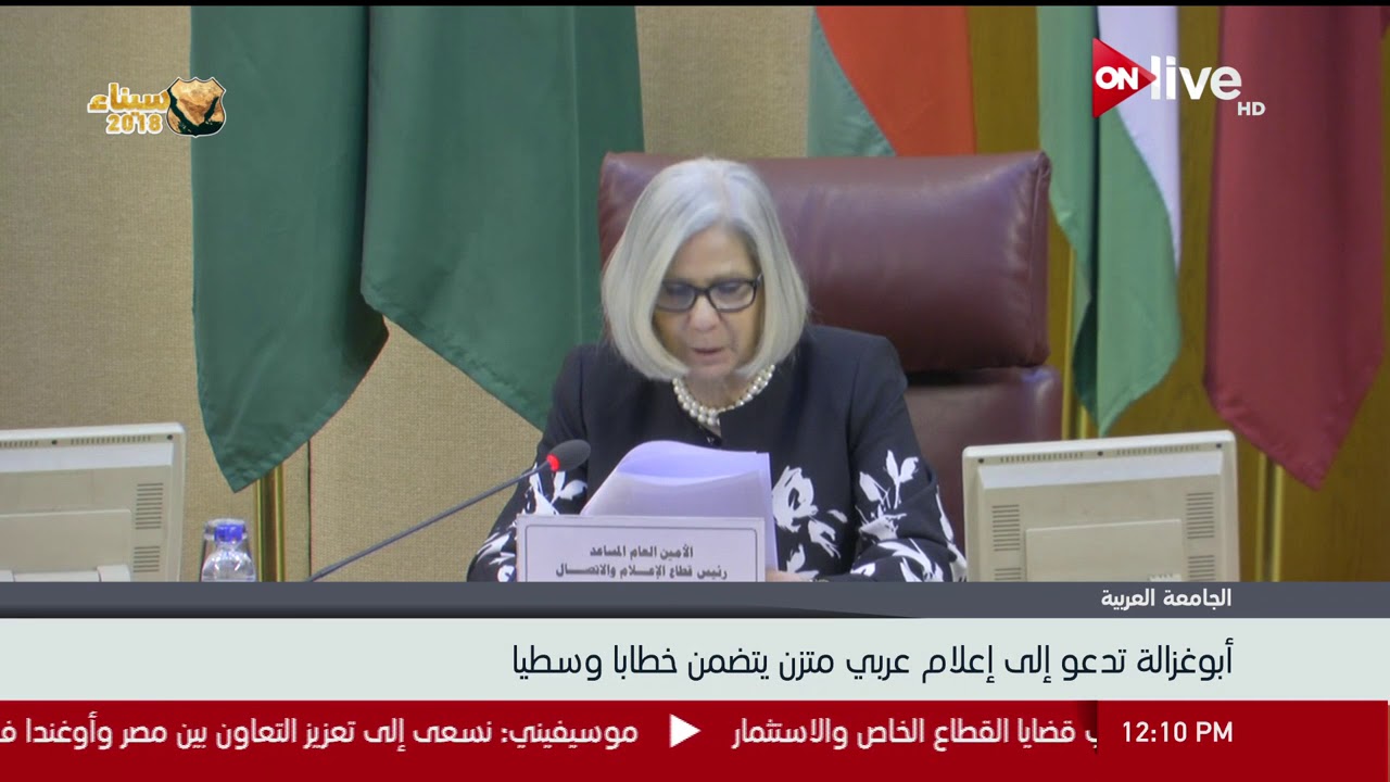 السفيرة أبوغزالة: العالم يقف مكتوفي الأيدي شاهدا على مجازر المحتل الإسرائيلي ضد الفلسطينيين 1