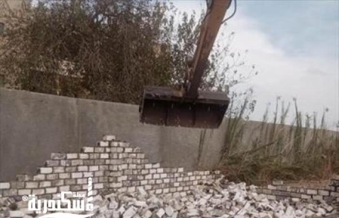 محافظ الإسكندرية يوجه بإزالة التعديات على الأراضي الزراعية والتصدي لظاهرة البناء المخالف 1 medium 2023 01 19 1ced2578521698429723
