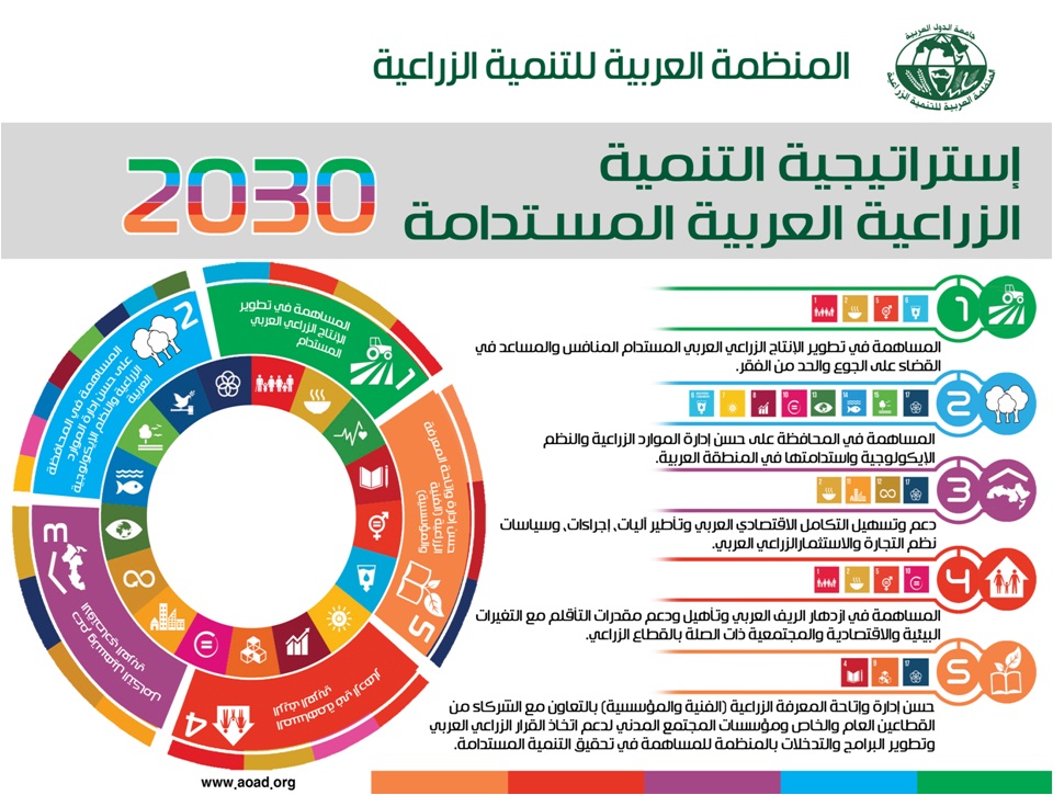 "العربية للتنمية الزراعية" و"بحوث الصحراء" يبحثان فرص التعاون لتحقيق الأمن الغذائي العربي 1 pic4n1 1oct20201698078723