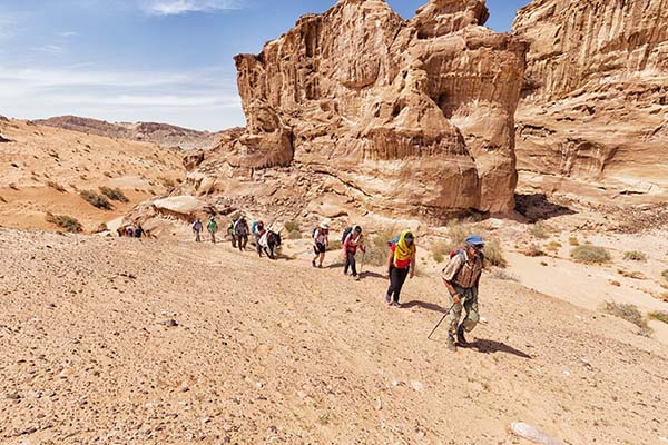 السياحة العالمية: فوز قريتي "سيوة" و"دهشور" بمحافظتي مطروح والجيزة ضمن أفضل القرى الريفية السياحية لعام 2023 1 pic 649481697799123