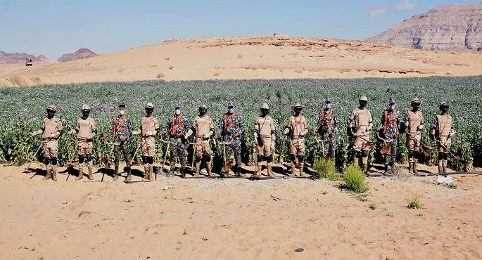 القوات المسلحة تنفذ عدة حملات مكبرة للبحث والتفتيش على الزراعات المخدرة بسيناء 1 مكافحة المخدرات فى سيناء 21700999342