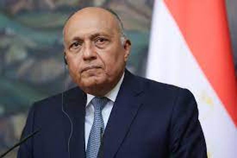شكرى يؤكد لنظيرته اليابانية رفض مصر القاطع لكافة محاولات تهجير الفلسطينيين داخل قطاع غزة أو خارجه 1 10227931699989424