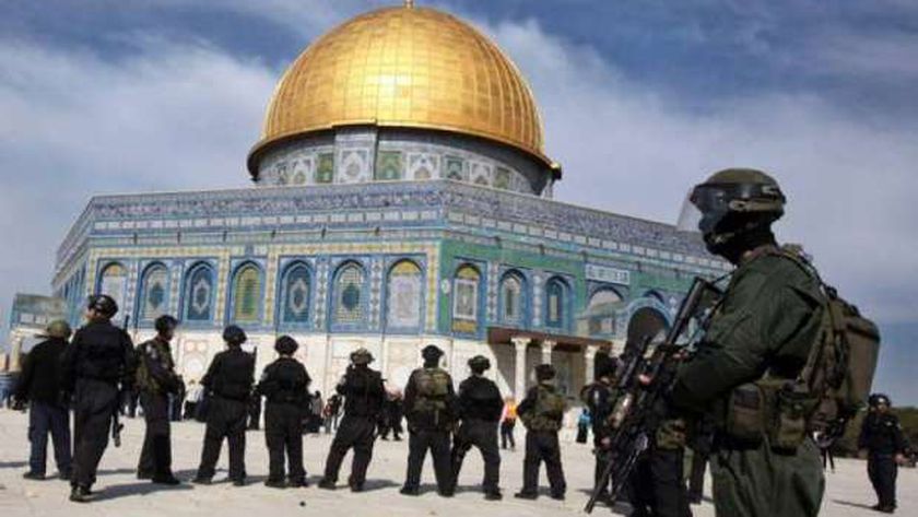 في ذكرى "تقسيم فلسطين" و"يوم التضامن".. دبلوماسيون يدعون العالم للاعتراف بالدولة الفلسطينية المستقلة 1 198358056015435166121701166084