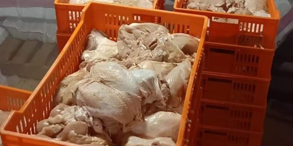 محافظ الجيزة: ضبط 5 أطنان لحوم غير صالحة للاستهلاك بالعمرانية والعجوزة والطالبية والهرم 1 2020110112372437241701347704
