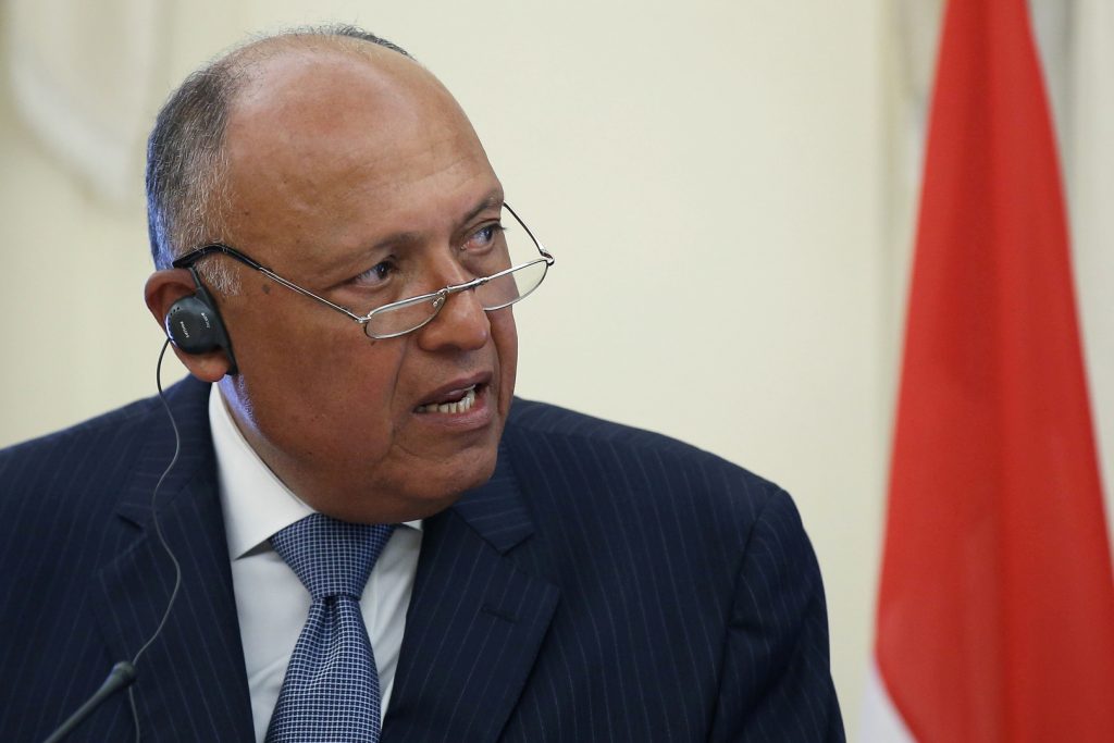 وزير الخارجية: مصر تكثف جهودها للتوصل.. إضافة أولى 1 5efc97ba4c59b74b7655eecc1701285603