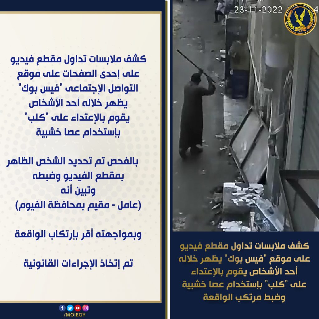 الداخلية تكشف ملابسات إصابة عامل إثر سقوطه من أحد المباني تحت الإنشاء بالقاهرة 1 FiSJZhkXoAI15 41699267563
