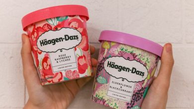 Häagen Dazs new flavours Litte Garden Collection 4 1080x7201700716923