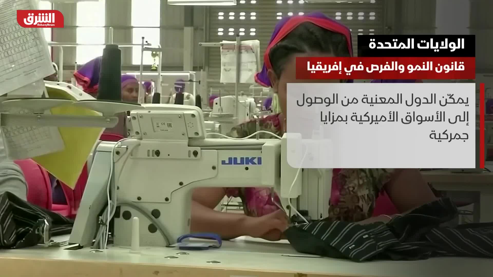 Poster 1198655 81 8247184 11698957603