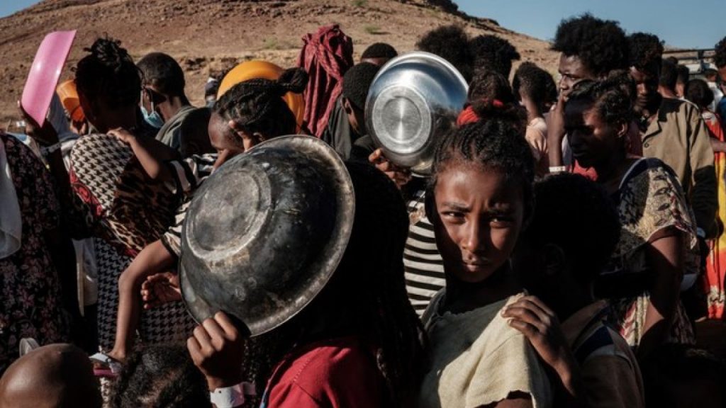 "تنسيق الشئون الإنسانية بالأمم المتحدة": تسليم أكبر قافلة إنسانية منذ 7 أكتوبر إلى غزة 1 b0dd7c25268f00bb580053a51a4ae22f1700859062