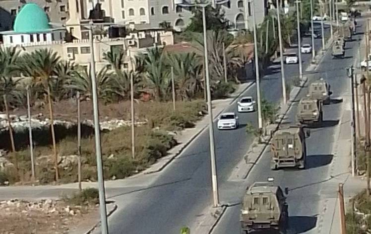القاهرة الإخبارية: وصول 10 محتجزين إسرائيليين و4 تايلانديين إلى منفذ رفح ضمن الدفعة السادسة من صفقة تبادل الأسري 1 cats1701295443