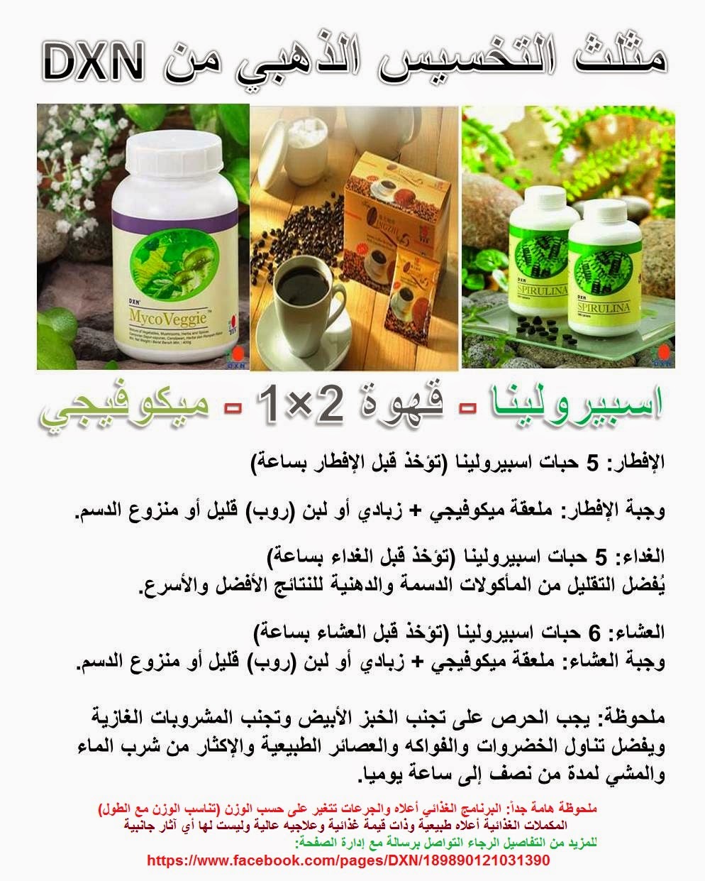 جلوبال (4): مجموعة European Wellness وDXN توقعان مذكرة تفاهم لإنشاء مركز صحي على مستوى عالمي! 1 h1699595403