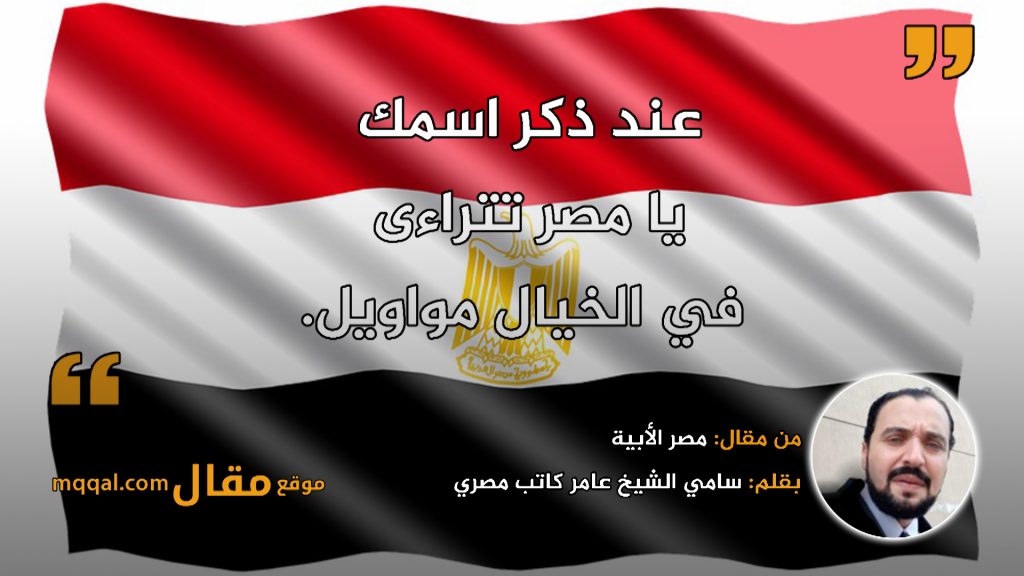 محافظ الدقهلية: مصر ستظل شامخة عصية على الأعداء بفضل تضحيات رجال القوات المسلحة 1 maqqal1699193943