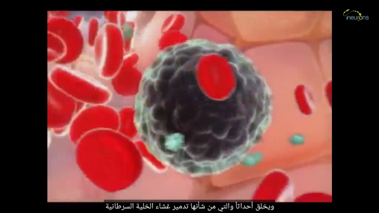 دراسة أمريكية: فيتامين "ب -3" يعزز الخلايا القاتلة الطبيعية لمحاربة سرطان الدم 1