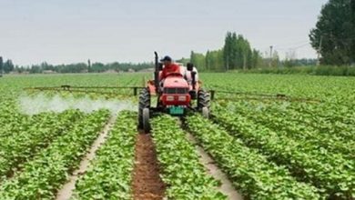 الزراعة اللبنانية وأهميتها الاقتصادية 1 618x3001699989303