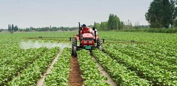 الزراعة اللبنانية وأهميتها الاقتصادية 1