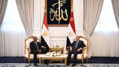 السيسي ورئيس مجلس السيادة السوداني 1699710712 01699711324
