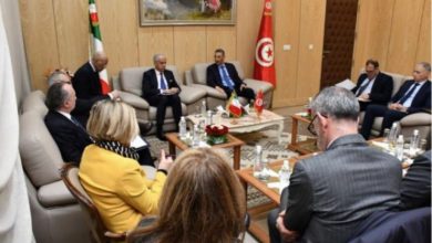 مباحثات تونسية إيطالية تناقش الارتقاء بالعلاقات الثنائية في مجال الأمن1700420763
