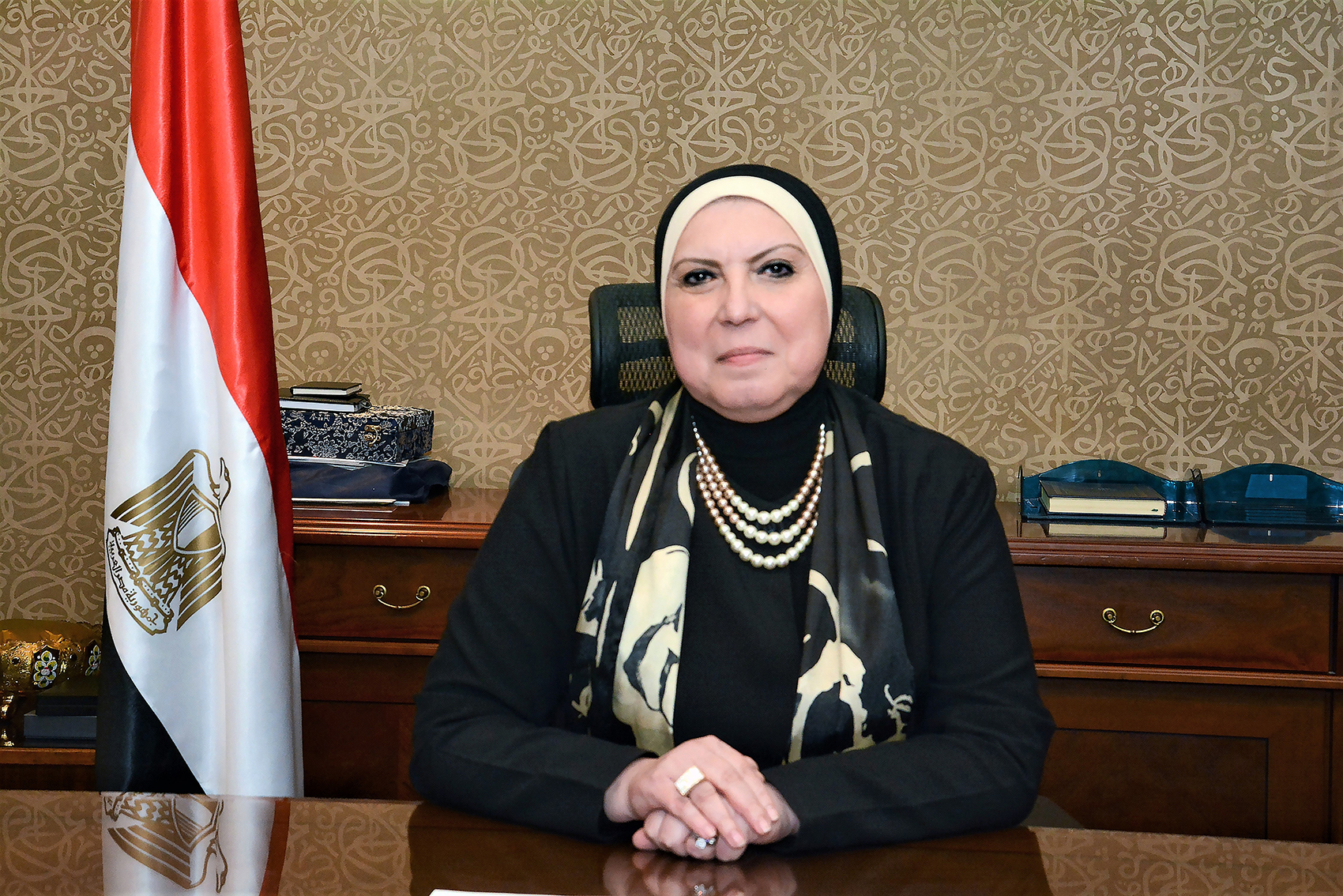 وزيرة التضامن تبحث مع وزير التجارة الخارجية الهولندي جهود مصر الإنسانية إزاء الأزمة الفلسطينية 1 1 21703156582