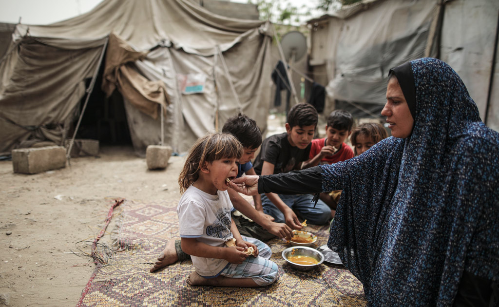 "الأغذية العالمي": سكان غزة يلجأون إلى استراتيجيات التكيف السلبية مع الوضع بما يؤثر على صحتهم 1 1024 PAL Wissam Nassar 841702973343