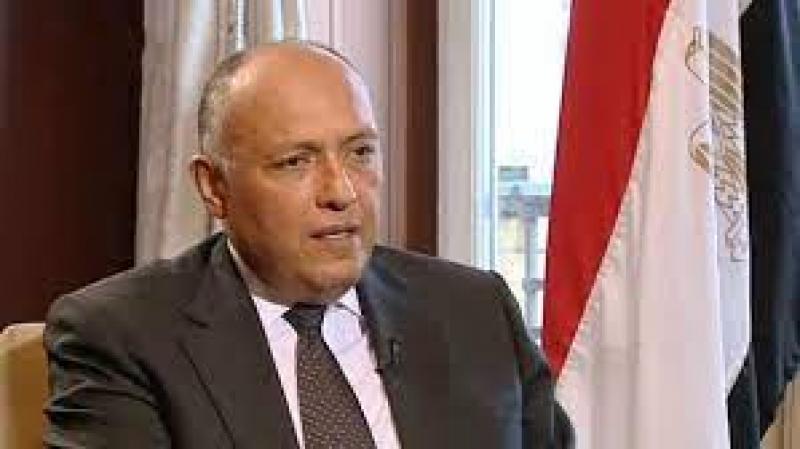 شكري ونظيره البريطاني يؤكدان أهمية إدخال المساعدات.. إضافة أولى 1 1607891703154364