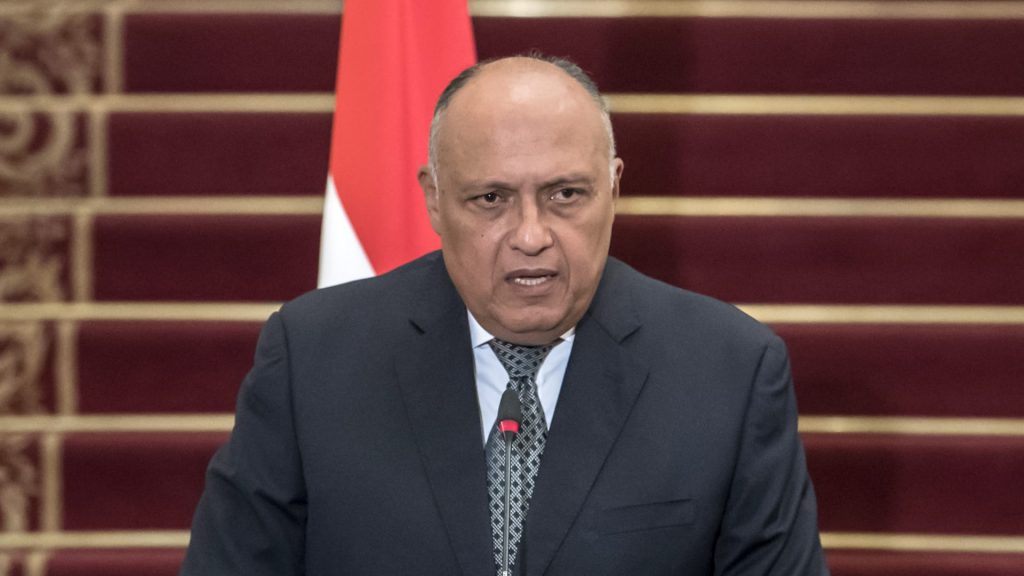 وزير الري: البيان الصادر بشأن مفاوضات سد النهضة يُعبر عن موقف مصر وجاء نتيجة المواقف الإثيوبية 1 1736411703071263